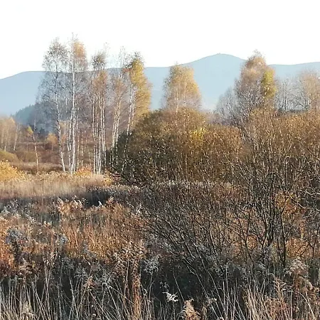 Zielone Wzgorze 2 Apartment *