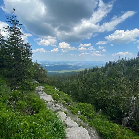 Zielone Wzgórze 2 * Jelenia Góra