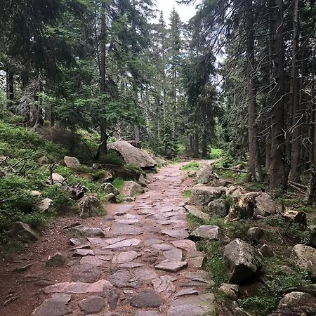 Apartamento Zielone Wzgórze 2