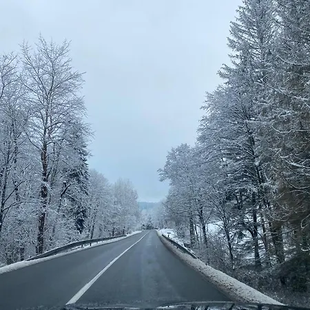 Zielone Wzgorze 2 * يلينيا غورا