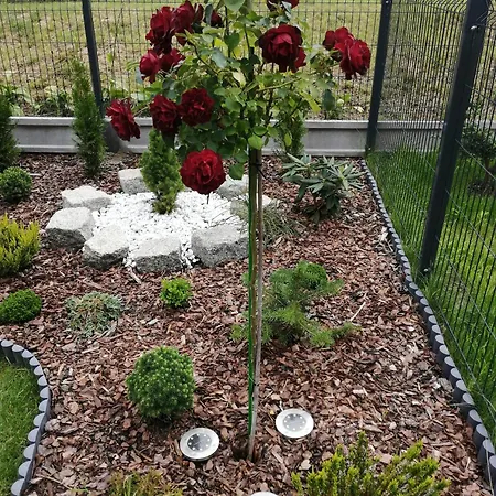 Zielone Wzgórze 2 Apartamento *