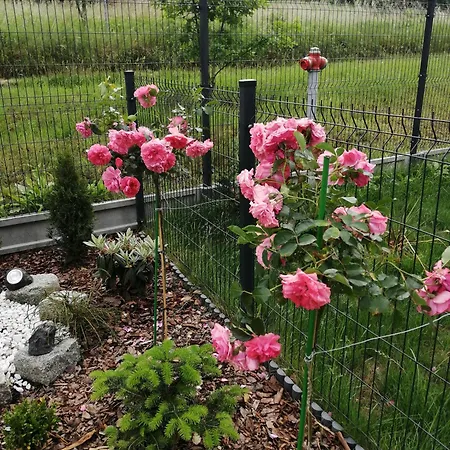 Apartamento Zielone Wzgórze 2 *