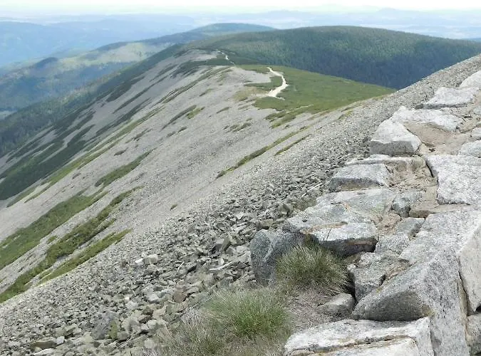 Zielone Wzgórze 2 Apartament *