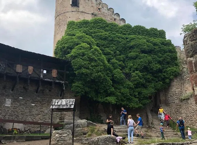 Apartament Zielone Wzgórze 2