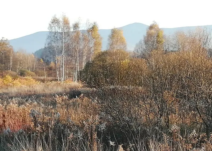 Zielone Wzgorze 2 Appartement *