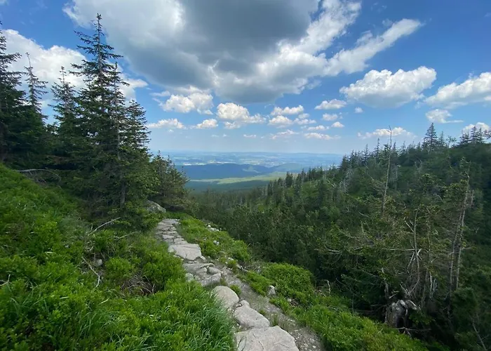 Zielone Wzgorze 2 * Jelenia Góra