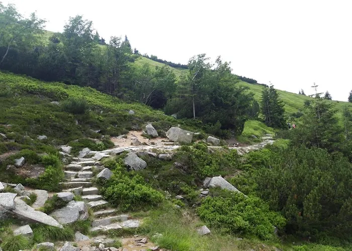 Zielone Wzgorze 2 * Jelenia Góra