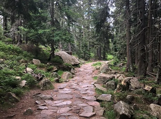 Appartement Zielone Wzgorze 2