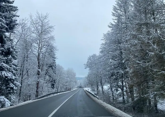 Zielone Wzgorze 2 * Jelenia Góra