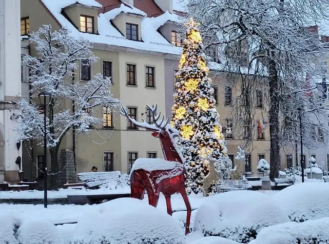 Zielone Wzgórze 2 Apartament Jelenia Góra