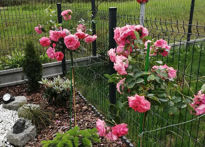 アパート Zielone Wzgorze 2 *